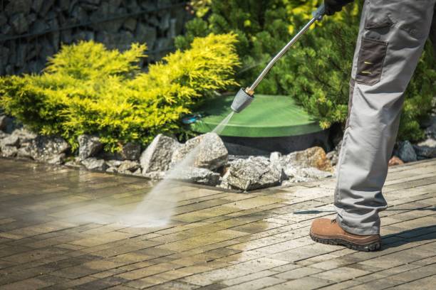 Best Fence Cleaning  in Crystal, MN